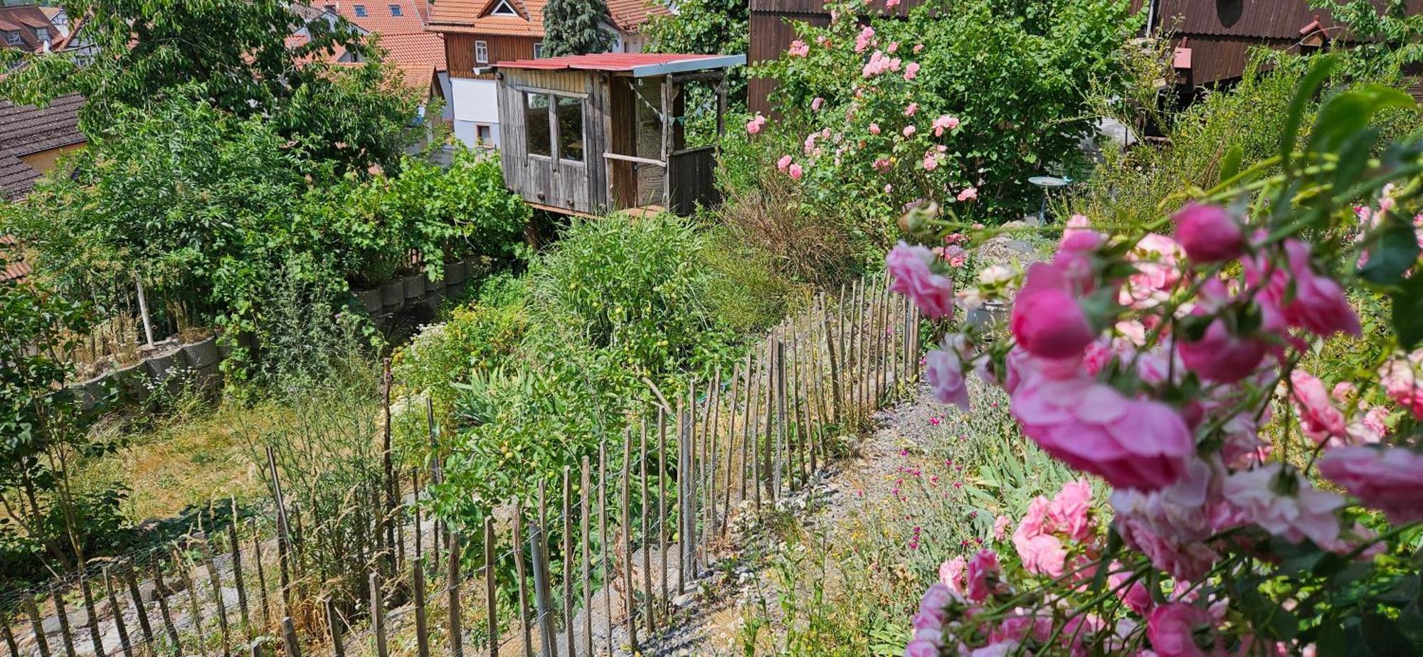 شقة Waldheim Lindenfels المظهر الخارجي الصورة